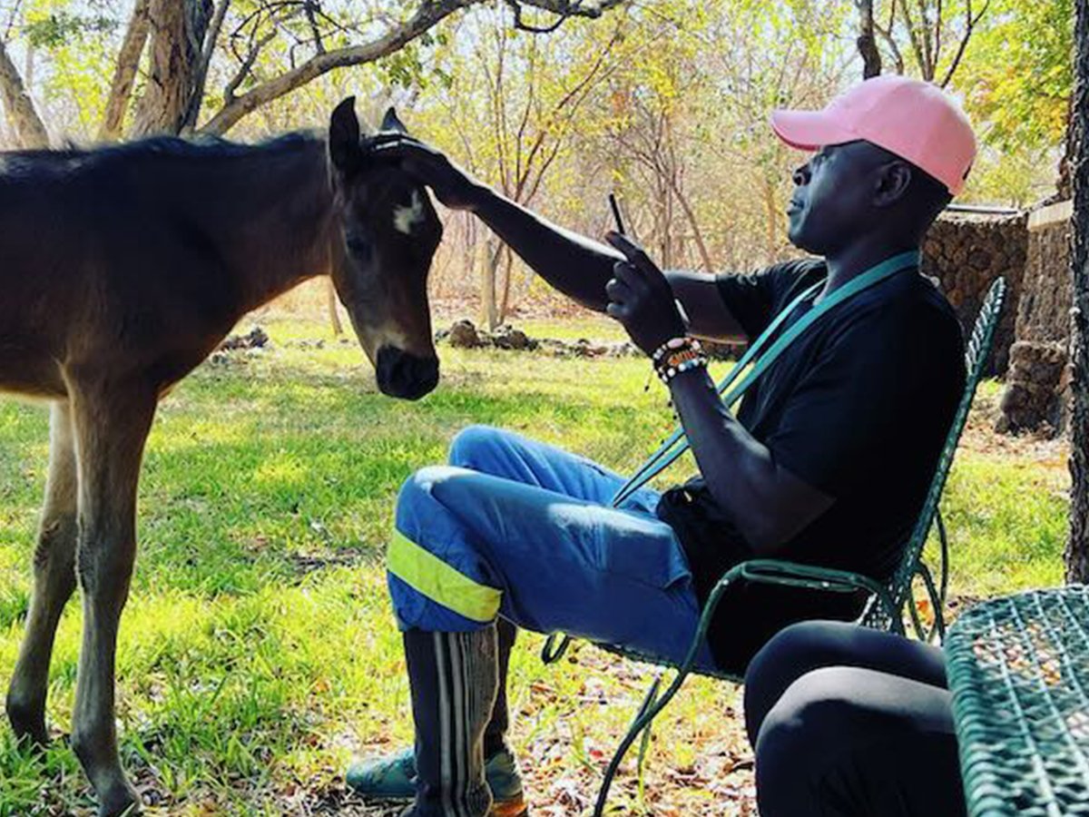 Captured moment of a Wild Bhiza Groom bonding with our young horse Mshango