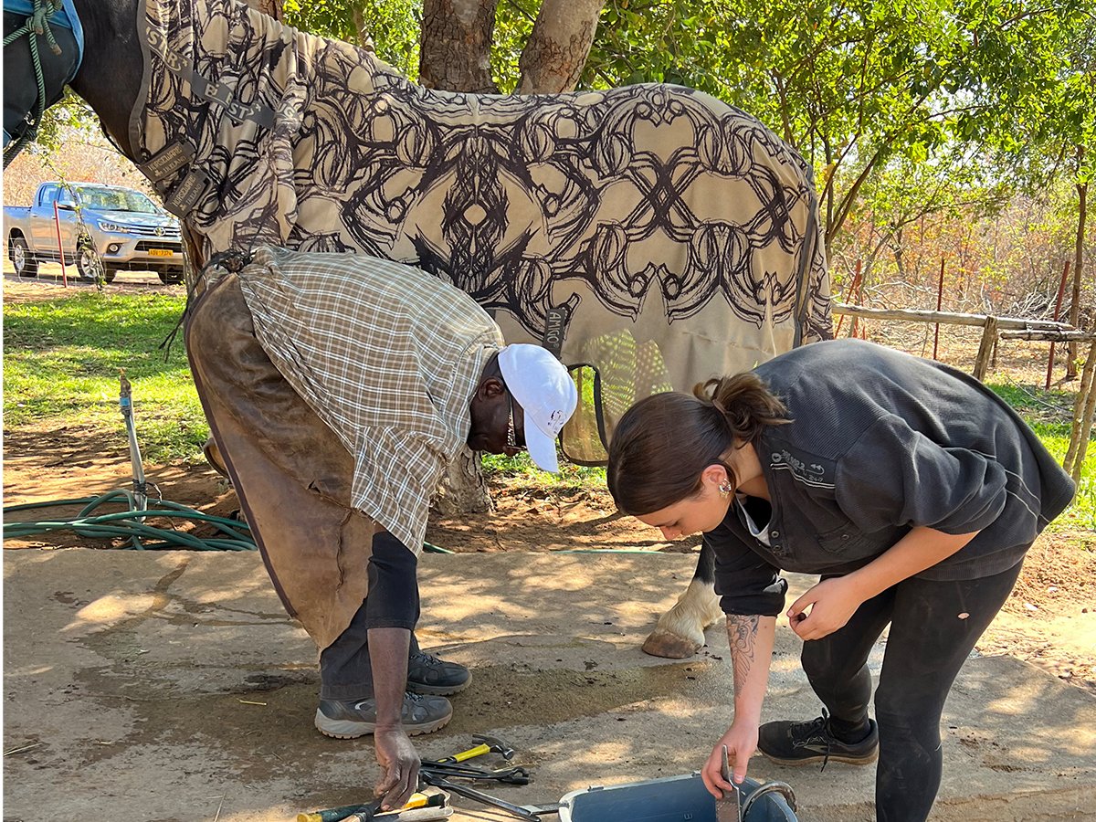 Volunteer at Wild Bhiza lending a hand with the farrier